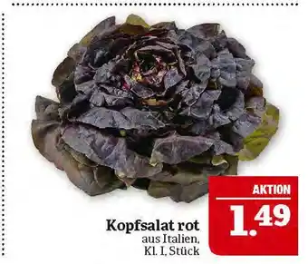 Marktkauf Kopfsalat rot Angebot