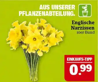 Marktkauf Englische narzissen Angebot