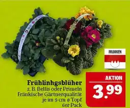 Marktkauf Franken frühlinggsblüher Angebot