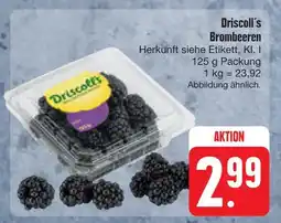 E-Center Driscoll's brombeeren Angebot