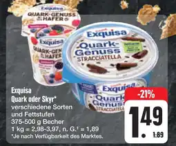 E-Center Exquisa quark oder skyr Angebot