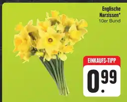 E-Center Englische narzissen Angebot