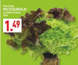 Marktkauf Deutschland multicolorsalat Angebot