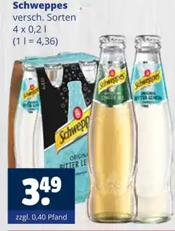 Getränkewelt Schweppes schweppes Angebot