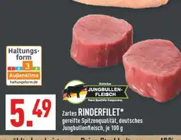 Marktkauf Jungbullen-fleisch zartes rinderfilet Angebot