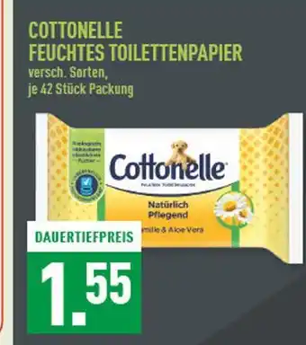 Marktkauf Cottonelle feuchtes toilettenpapier Angebot