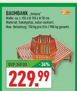 Marktkauf Baumbank ontario Angebot