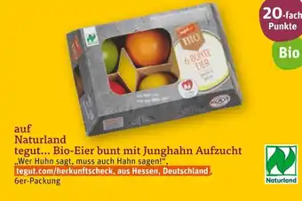 tegut Tegut... bio-eier bunt mit junghahn aufzucht Angebot