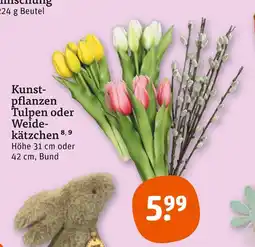 tegut Kunstpflanzen tulpen oder weidekätzchen Angebot