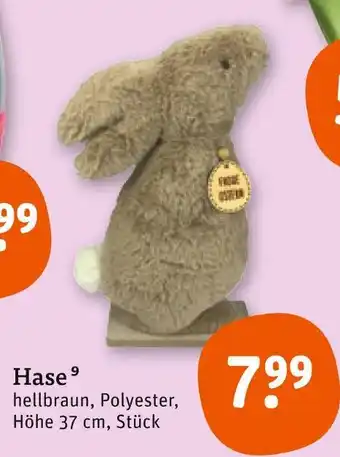 tegut Hase Angebot