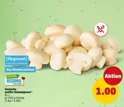 PENNY Regional von penny champignons Angebot