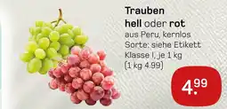 boni Center Trauben hell oder rot Angebot