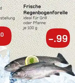 akzenta Frische regenbogenforelle Angebot