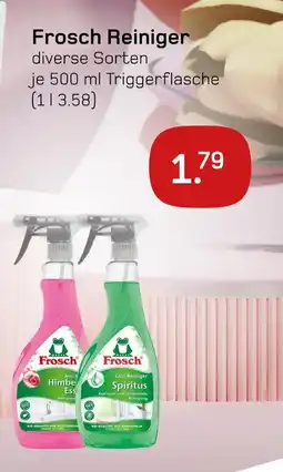 akzenta Frosch reiniger Angebot