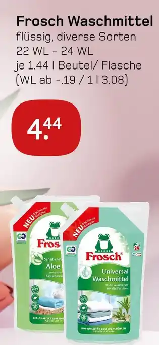 akzenta Frosch waschmittel Angebot