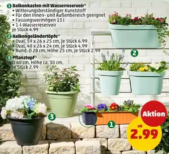 PENNY Balkonkasten mit Wasserreservoir Angebot