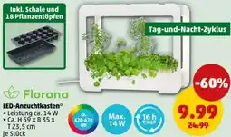 PENNY Florana LED-Anzuchtkasten Angebot