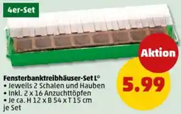 PENNY Fensterbanktreibhäuser-Set L Angebot