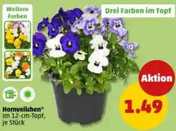 PENNY Hornveilchen Angebot