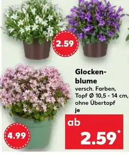 Kaufland Glocken- blume Angebot