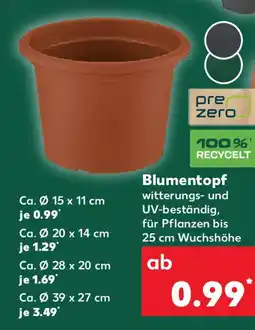 Kaufland Blumentopf Angebot