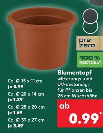 Kaufland Blumentopf Angebot