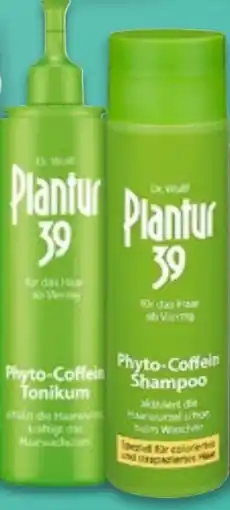 Kaufland PLANTUR Phyto-Coffein-Shampoo oder -Tonikum Angebot