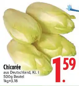 Edeka Chicoré69 Chicorée Angebot