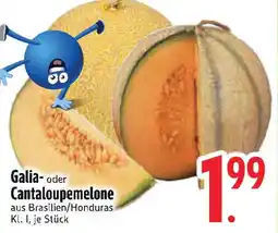 Edeka Galia- oder Cantaloupemelone Angebot