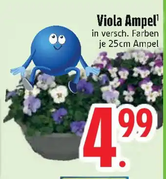 Edeka Viola Viola Ampel' Angebot