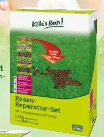 Pflanzen Kölle Kölle's Beste Rasen-Reparatur-Set Angebot