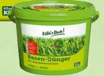 Pflanzen Kölle Kölle's Beste Rasenstarter-Dünger Angebot