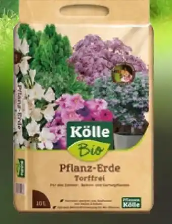 Pflanzen Kölle Kölle's Bio Pflanz-Erde Torffrei Angebot