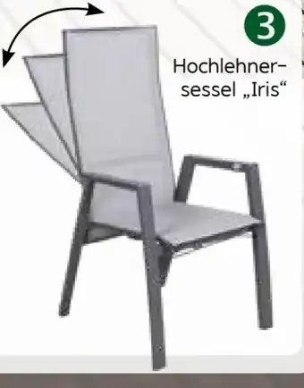 Pflanzen Kölle Kölle Alu-Hochlehnersessel Iris Angebot