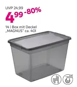 Mömax Box mit deckel „magnus“ Angebot