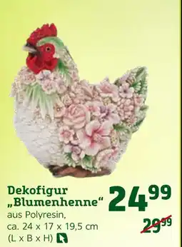 Pflanzen Kölle Dekorfigur blumenhenne Angebot