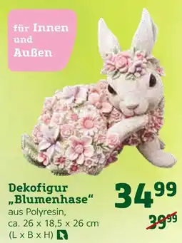 Pflanzen Kölle Dekofigur „blumenhase“ Angebot