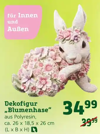 Pflanzen Kölle Dekofigur „blumenhase“ Angebot