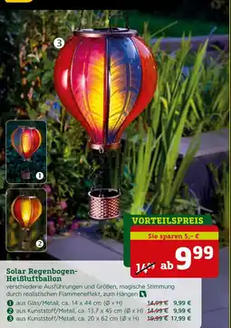 Pflanzen Kölle Solar regenbogen-heißluftballon Angebot