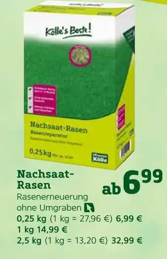 Pflanzen Kölle Nachsaat-rasen Angebot