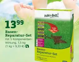 Pflanzen Kölle Rasen-reparatur-set Angebot