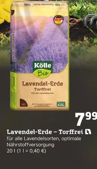 Pflanzen Kölle Kölle bio lavendel-erde – torffrei Angebot