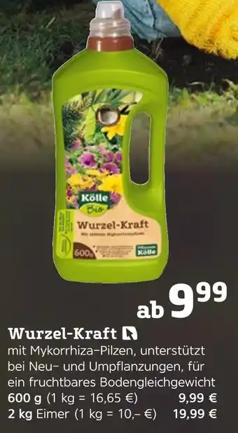 Pflanzen Kölle Wurzel-kraft Angebot