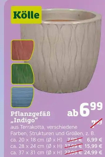 Pflanzen Kölle Kölle pflanzgefäß „indigo“ Angebot