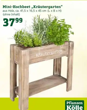 Pflanzen Kölle Mini-hochbeet „kräutergarten“ Angebot