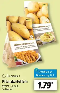 Lidl Solanum tuberosum pflanzkartoffeln Angebot