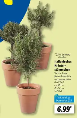 Lidl Italienisches kräuterstämmchen Angebot