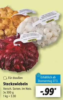 Lidl Top onionsets b.v. steckzwiebeln Angebot