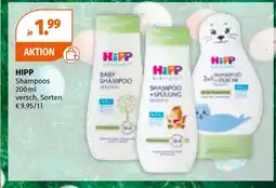 Müller Hipp shampoos Angebot