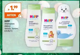 Müller Hipp shampoos Angebot